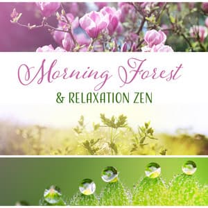 Morning Forest & Relaxation Zen - The Best Nature Sounds for Yoga, Meditation, Spa - Nature Sounds Paradise