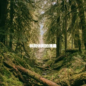 林间休闲的清晨 - Classic Bosas Nova Radio