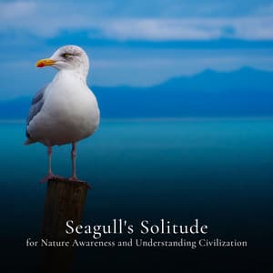 * Seagull's Solitude for Nature Awareness and Understanding Civilization * - Calm Singing Birds Zone