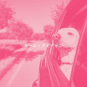 カーム・ケイナイン - Happy Jazz