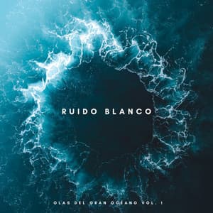 Ruido Blanco: Olas Del Gran Océano Vol. 1 - Agua Del Mar