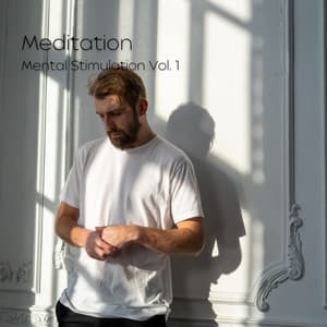 Meditation: Mental Stimulation Vol. 1 - Relaxing Music