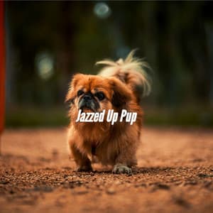 Jazzed Up Pup - Dog Sleeping Soundtracks Deluxe