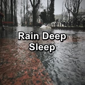Rain Deep Sleep - Relaxing Sounds Of Nature