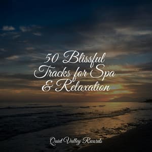50 Blissful Tracks for Spa & Relaxation - Thunder Storm