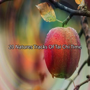 20 Natures Tracks Of Tai Chi Time - Forest Sounds