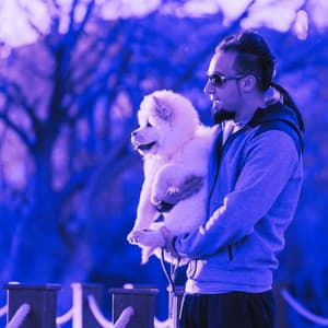 Jazz Piano Duo - Background for Doggy Focus - Music for Pets Playlist