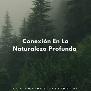 Conexión En La Naturaleza Profunda Con Sonidos Lastimeros - Grabaciones relajantes de la Naturaleza