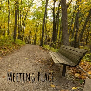 Meeting Place - Dreams of Dreams