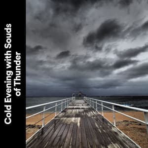 Cold Evening with Souds of Thunder - Thunderstorm Meditation