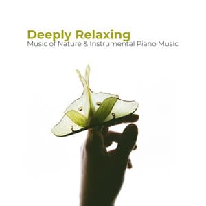 Deeply Relaxing Music of Nature & Instrumental Piano Music - Relaxing Piano Music