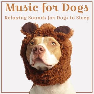 Music for Dogs - Relaxmydog