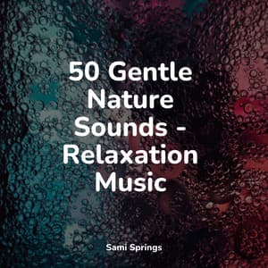 50 Gentle Nature Sounds - Relaxation Music - Lightning