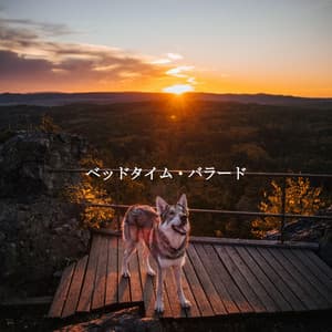 ベッドタイム・バラード - Cafe de Musica Instrumental