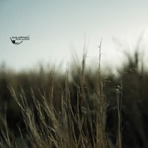 Himmelskyddets mjuka famn - Avslappning Musik Akademi