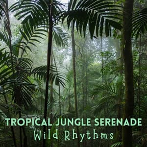 Tropical Jungle Serenade: Wild Rhythms - The Nature Field Recorder
