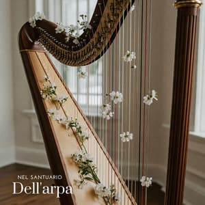 Nel santuario dell'arpa - Relax musica zen club