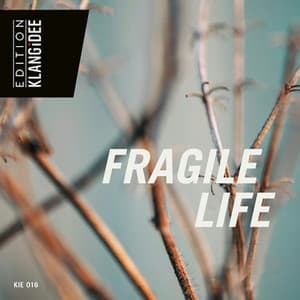 Fragile Life - Tony Delmonte