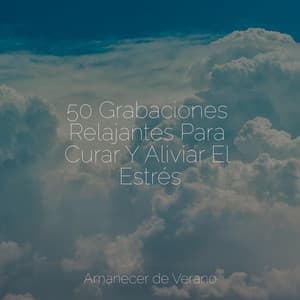 50 Grabaciones Relajantes Para Curar Y Aliviar El Estrés - Sonido de lluvia