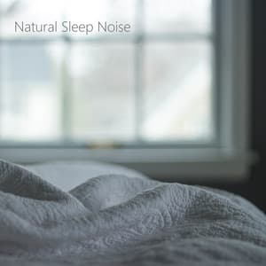 Sleep Baby White Noise – Confortable Dryer Noises for Looping - Sleep Baby White Noise