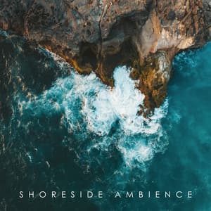 Shoreside Ambience: Sea Waves Sounds, Seagulls Noises, Yoga and Meditation - Calm Sea Ambient