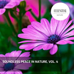 Soundless Peace in Nature, Vol. 4 - Nature Radiance