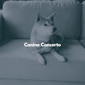 Canine Concerto - Upbeat Morning Music