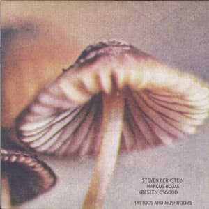 Tattoos and Mushrooms - Steven Bernstein