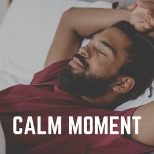 Calm Moment - Instrumental Sleeping Music