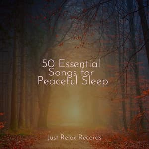 50 Essential Songs for Peaceful Sleep - Yoga Sounds