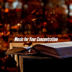 Music for Your Concentration - Jazz Office