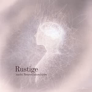 Rustige nacht Neurotransmitters - Genezende Collectie