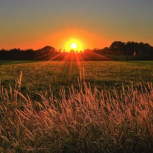 Better Sleep Sound for Babies to Fall Asleep - Natural Zen Meditation White Noise