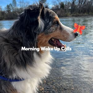 Morning Wake Up Calls - Calming Jazz For Dogs