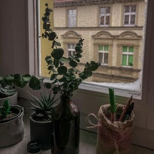 50 Ambient Rains: Coffee And Clouds - Meditation Rain Sounds