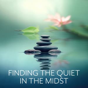Finding the Quiet in the Midst - Joshua Forest