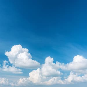 Ritmos De Concentración: Sonidos Para La Concentración - Oscilaciones neuronales