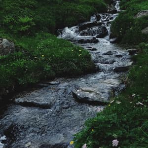 Flowing Meditation: Creek and Birds for Deep Zen - Essential Nature Sounds