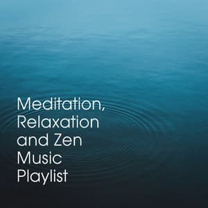 Meditation, Relaxation and Zen Music Playlist - Deep Sleep Relaxation