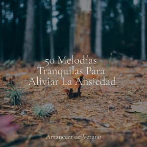 50 Melodías Tranquilas Para Aliviar La Ansiedad - kinderliedjes