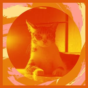 Echoes of Home with Cats - Cat Music Waves
