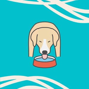 Hypnotic Music for Dogs and Dreams - Jazz Quintet - Good Dog Music