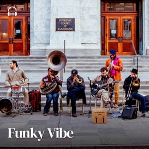 Funky Vibe - Jazz Music Therapy for Cats