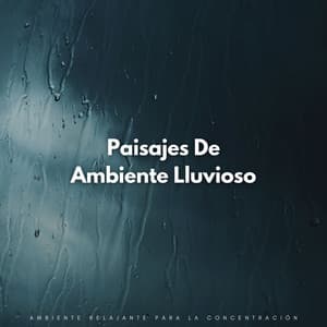 Paisajes De Ambiente Lluvioso: Ambiente Relajante Para La Concentración - Sonidos de lluvia de concentración
