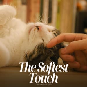 The Softest Touch - Calm Cat Music