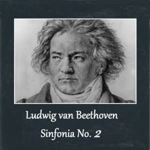 Ludwig van Beethoven - Sinfonia No. 2 - Ludwig van Beethoven