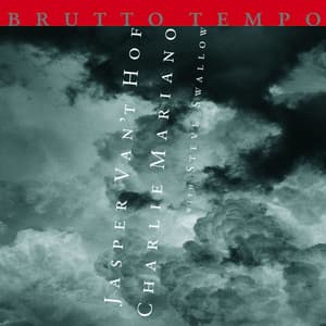 Brutto Tempo - Jasper Van't Hof