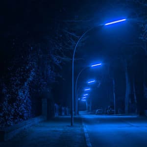 Acoustic and Electric Bossa Nova Piano Duo - Background Music for Decompressing World - Java Jazz Cafe