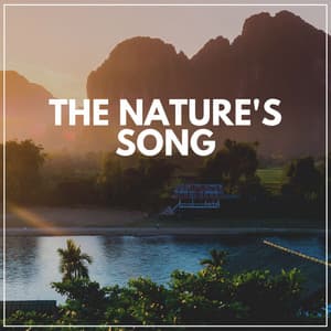The Nature's Song - Bird Sounds