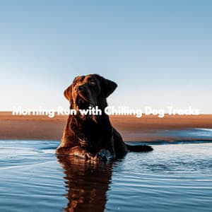 Morning Run with Chilling Dog Tracks - Music for Dogs Background Music